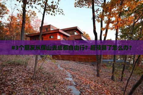 保山到四川成都自由团