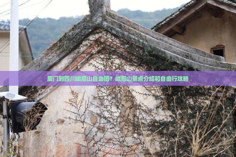 厦门到四川峨眉山自由团