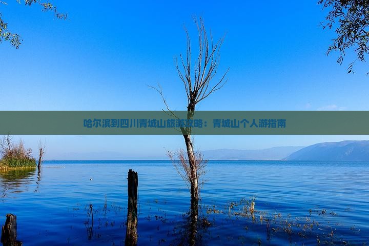 哈尔滨到四川青城山个人游