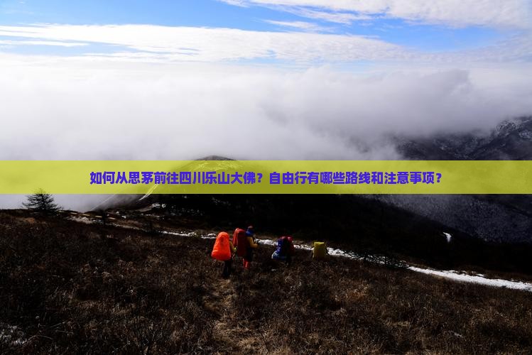 思茅去四川乐山大佛自由行