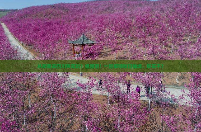 衡阳到四川黄龙团体旅游