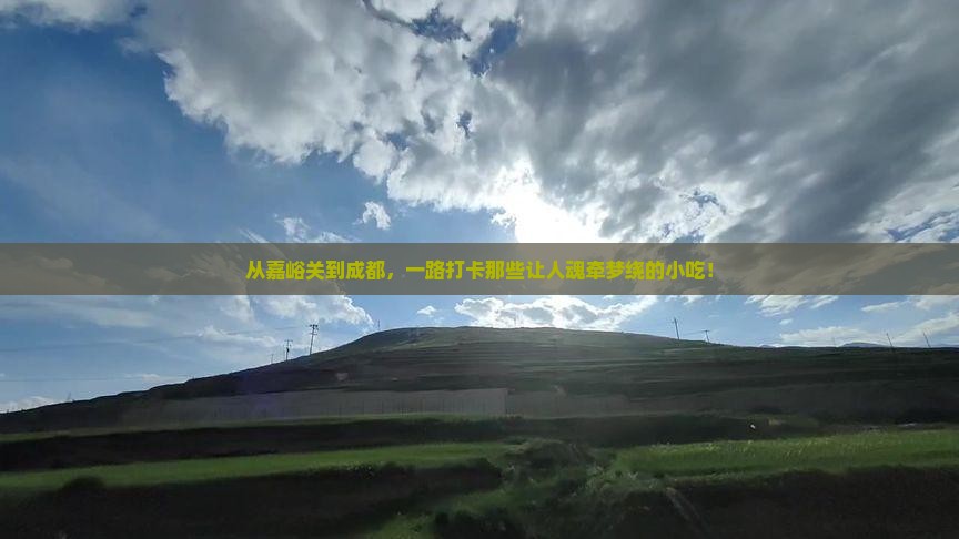 嘉峪关到四川成都旅游小吃