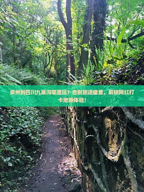 泉州到四川九寨沟哪里玩
