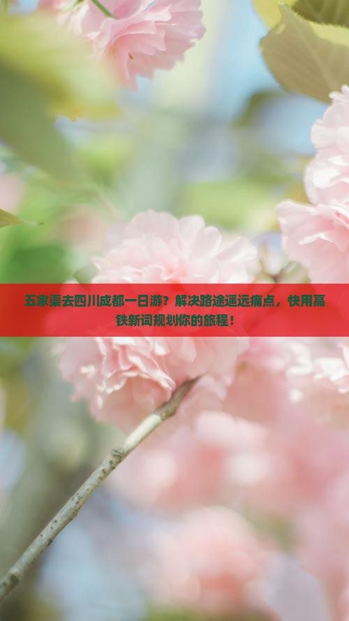 五家渠去四川成都一日