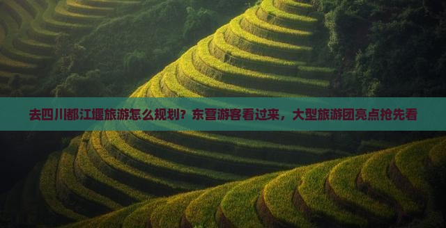 东营去四川都江堰大型旅游团