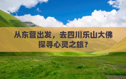 东营去四川乐山大佛旅行社