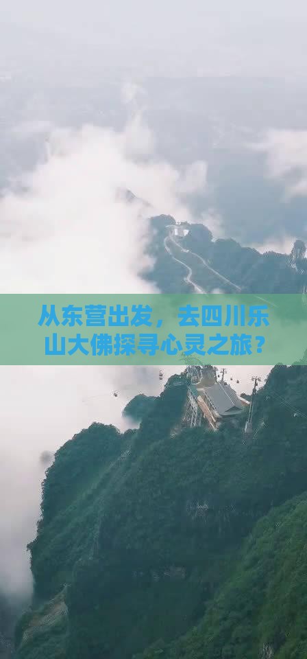 东营去四川乐山大佛旅行社