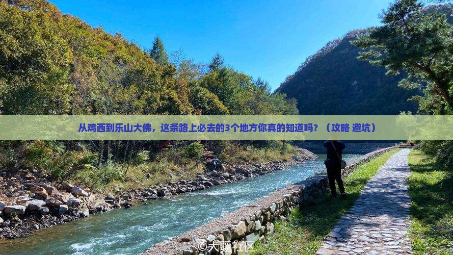 鸡西去四川乐山大佛必去地