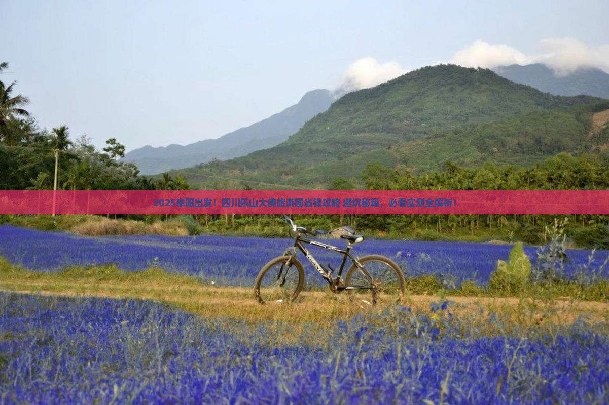 阜阳到四川乐山大佛大型旅游团