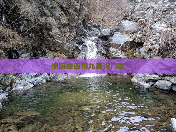 绵阳去四川九寨沟门票