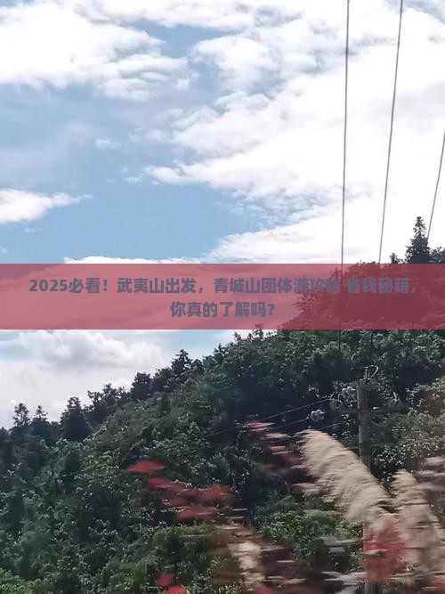 武夷山去四川青城山团体旅游