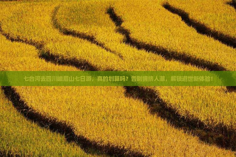 七台河去四川峨眉山七日游