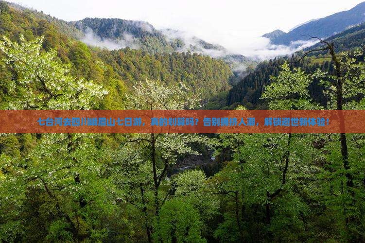 七台河去四川峨眉山七日游