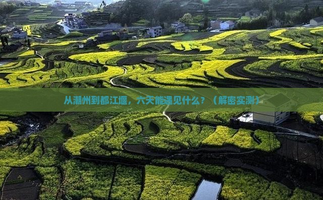 潮州到四川都江堰六日游
