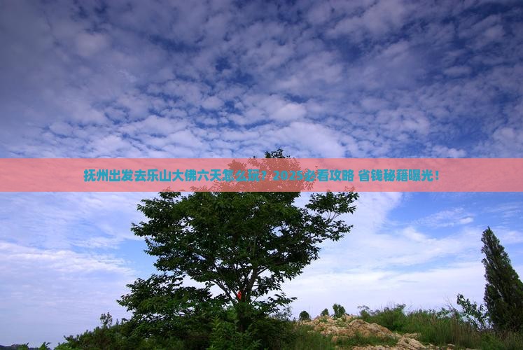 抚州到四川乐山大佛六日游