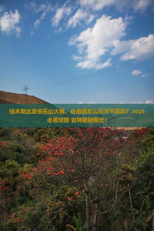 佳木斯去四川乐山大佛自由团