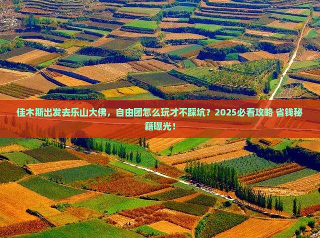 佳木斯去四川乐山大佛自由团