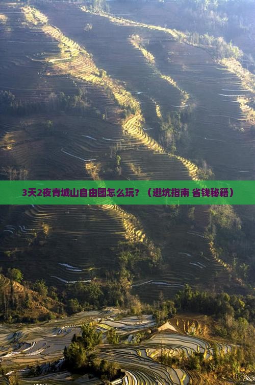 端午节去四川青城山自由团