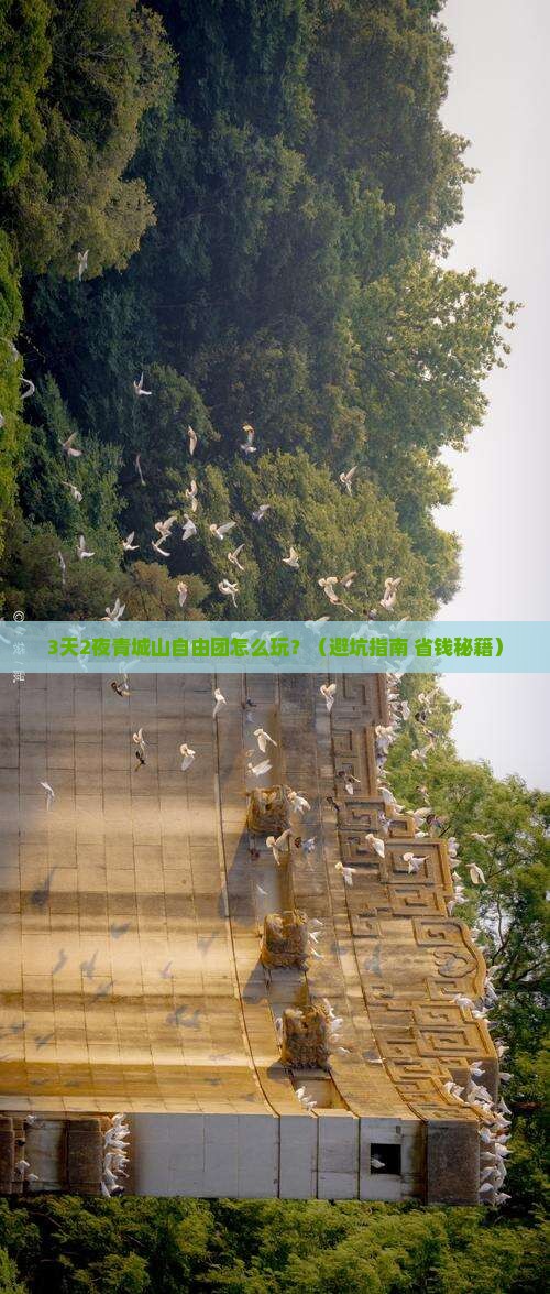 端午节去四川青城山自由团