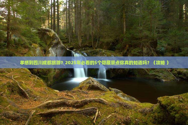 孝感到四川成都旅游