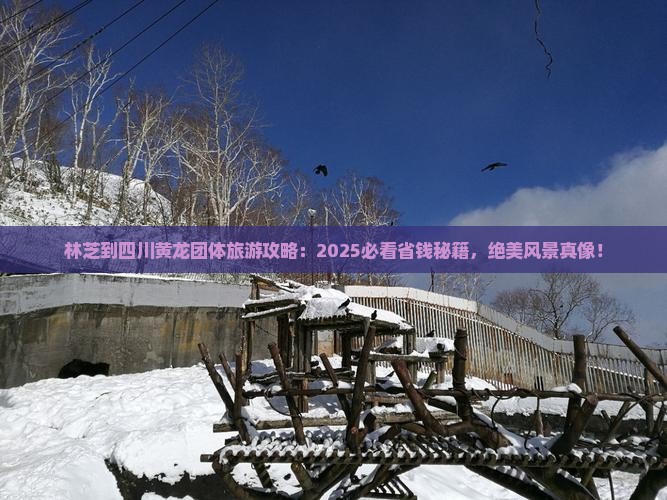 林芝到四川黄龙团体旅游