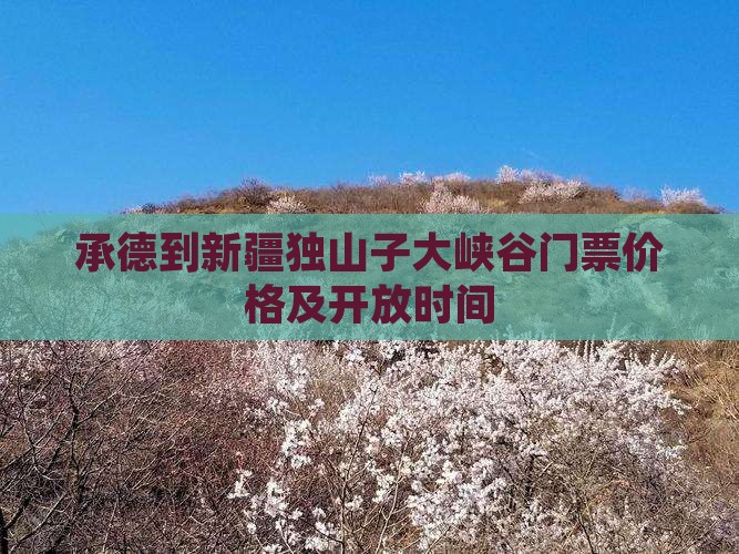 承德到新疆独山子大峡谷门票价格及开放时间