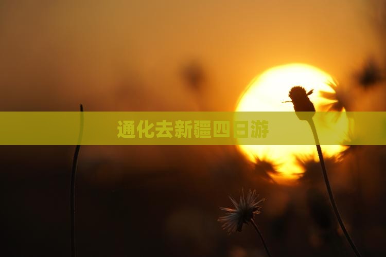 通化去新疆四日游