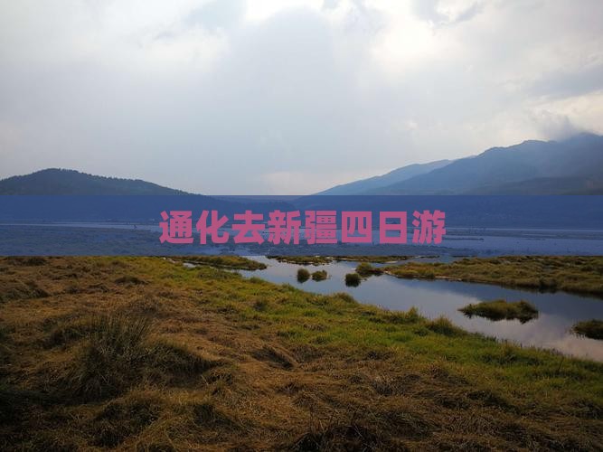 通化去新疆四日游