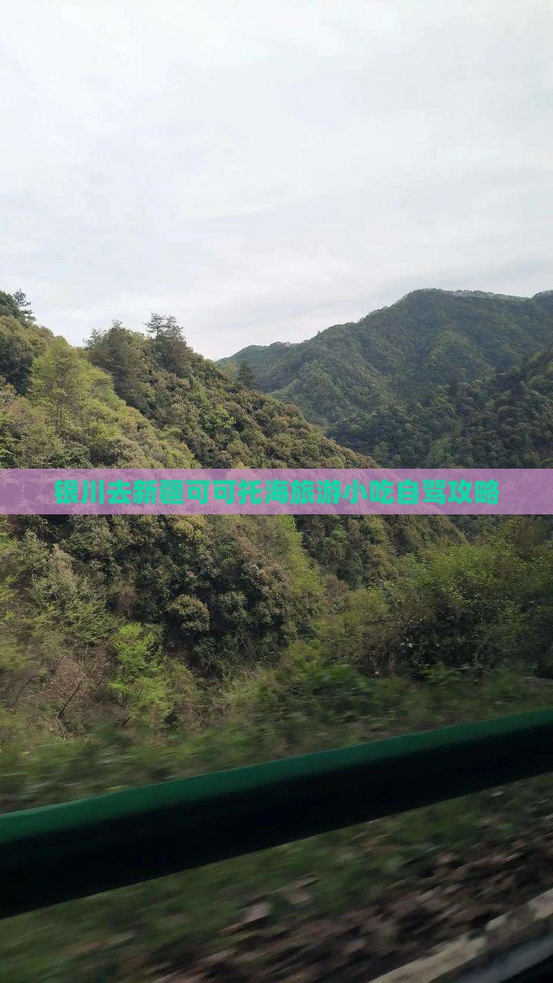 银川去新疆可可托海旅游小吃自驾攻略