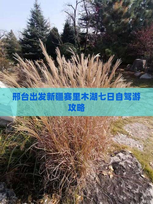 邢台出发新疆赛里木湖七日自驾游攻略