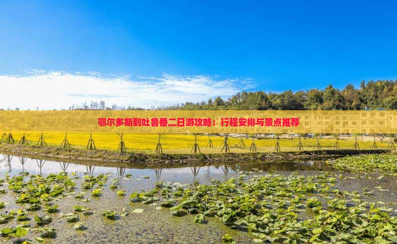 鄂尔多斯到吐鲁番二日游攻略：行程安排与景点推荐