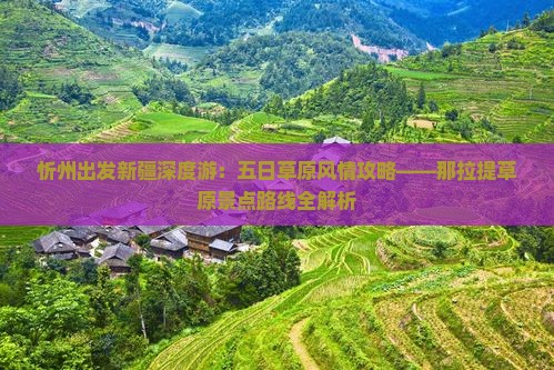 忻州出发新疆深度游：五日草原风情攻略——那拉提草原景点路线全解析