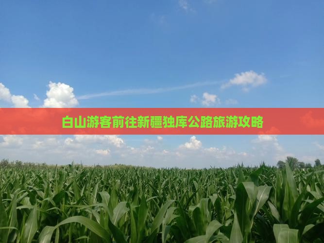 白山游客前往新疆独库公路旅游攻略