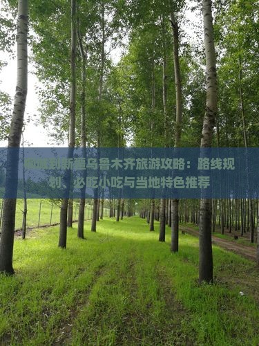 桐城到新疆乌鲁木齐旅游攻略：路线规划、必吃小吃与当地特色推荐