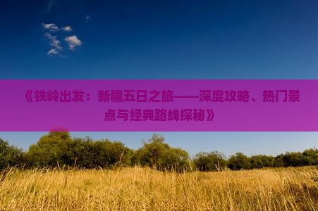 《铁岭出发：新疆五日之旅——深度攻略、热门景点与经典路线探秘》