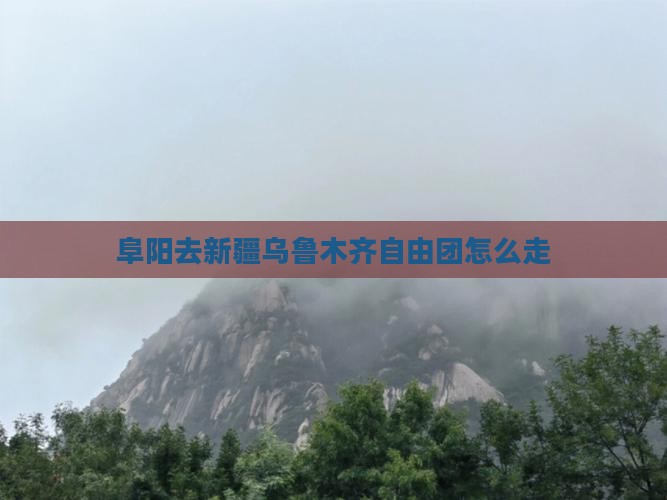 阜阳去新疆乌鲁木齐自由团怎么走