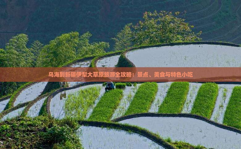 乌海到新疆伊犁大草原旅游全攻略：景点、美食与特色小吃