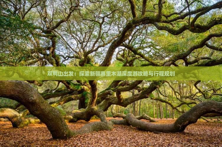 双鸭山出发：探索新疆赛里木湖深度游攻略与行程规划