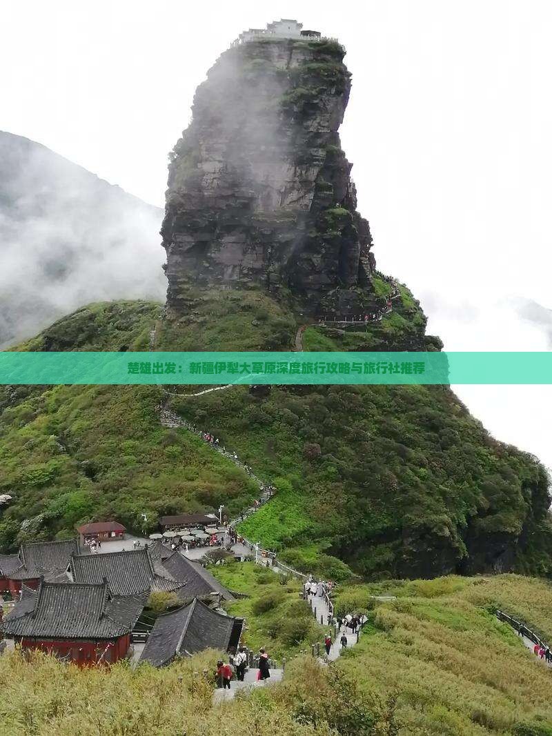 楚雄出发：新疆伊犁大草原深度旅行攻略与旅行社推荐