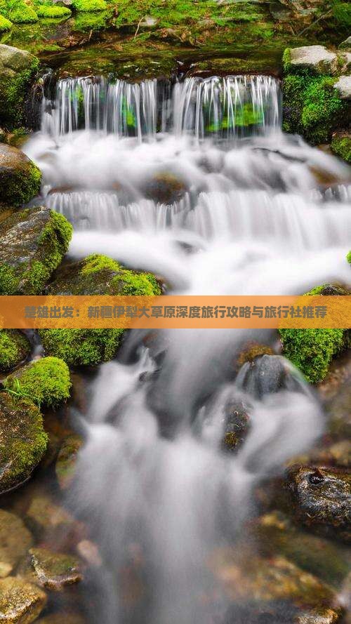 楚雄出发：新疆伊犁大草原深度旅行攻略与旅行社推荐