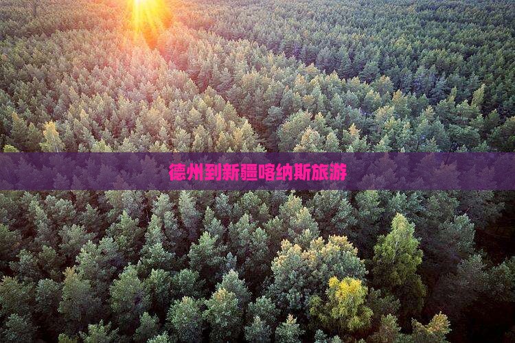 德州到新疆喀纳斯旅游