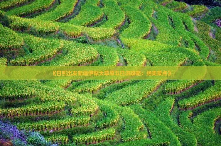 《日照出发新疆伊犁大草原五日游攻略：绝美景点》