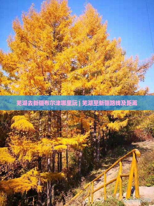 芜湖去新疆布尔津哪里玩 | 芜湖至新疆路线及距离