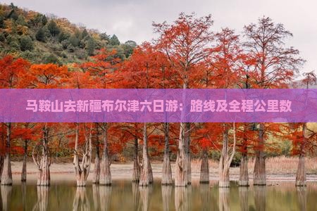 马鞍山去新疆布尔津六日游：路线及全程公里数