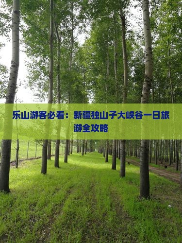 乐山游客必看：新疆独山子大峡谷一日旅游全攻略