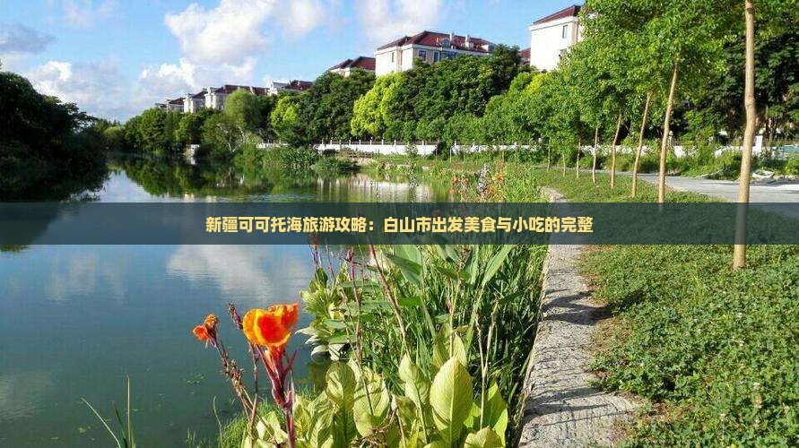 新疆可可托海旅游攻略：白山市出发美食与小吃的完整