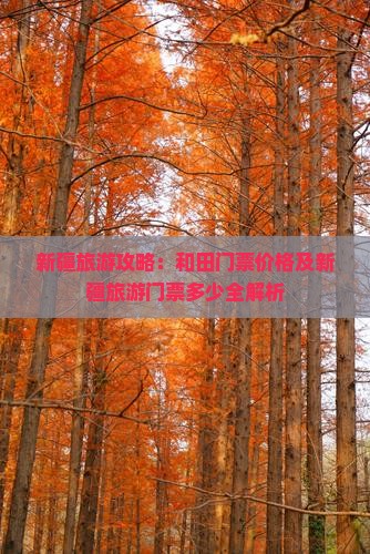 新疆旅游攻略：和田门票价格及新疆旅游门票多少全解析