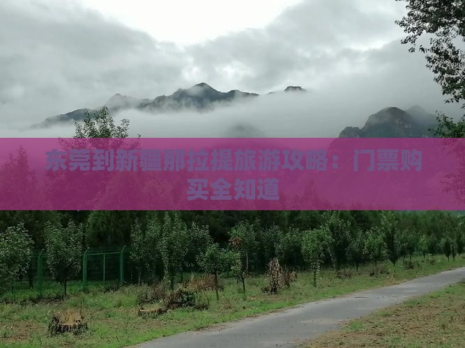 东莞到新疆那拉提旅游攻略：门票购买全知道