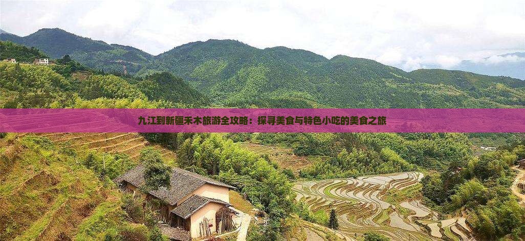 九江到新疆禾木旅游全攻略：探寻美食与特色小吃的美食之旅