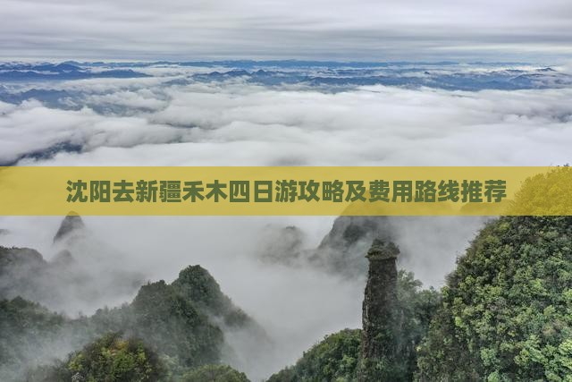 沈阳去新疆禾木四日游攻略及费用路线推荐